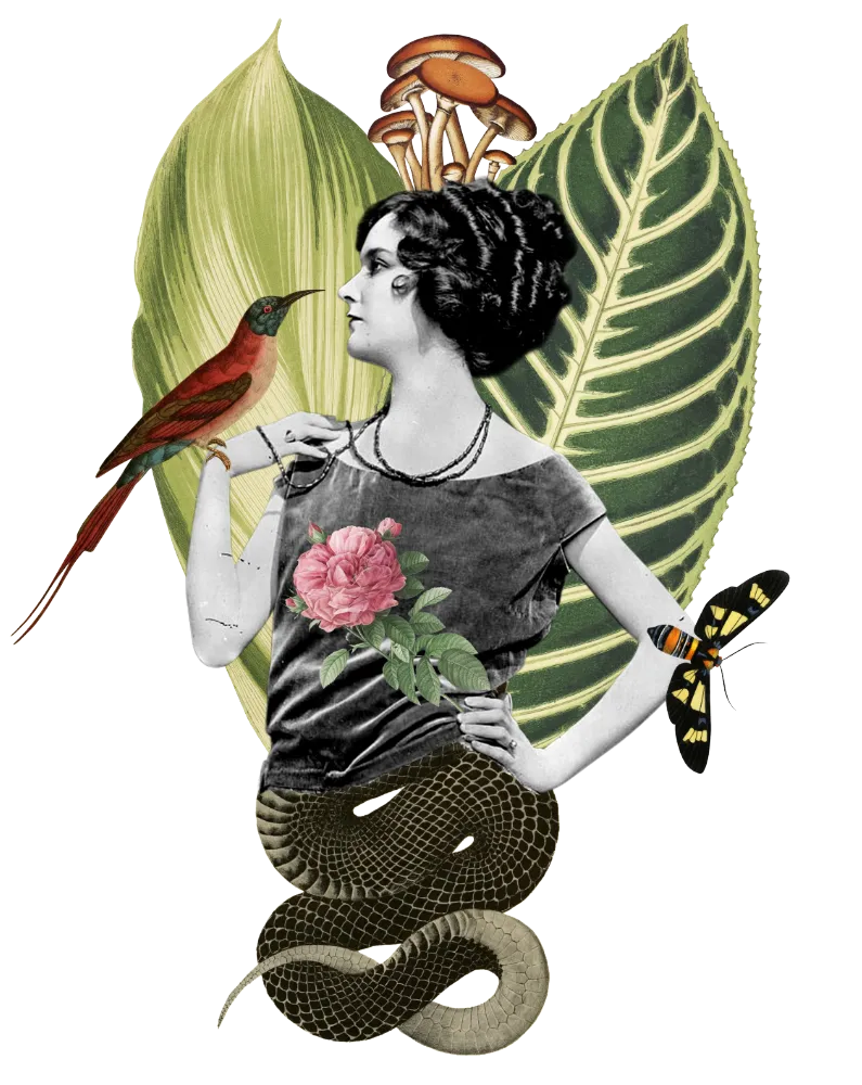 collage associé à l'archétype de la magicienne
