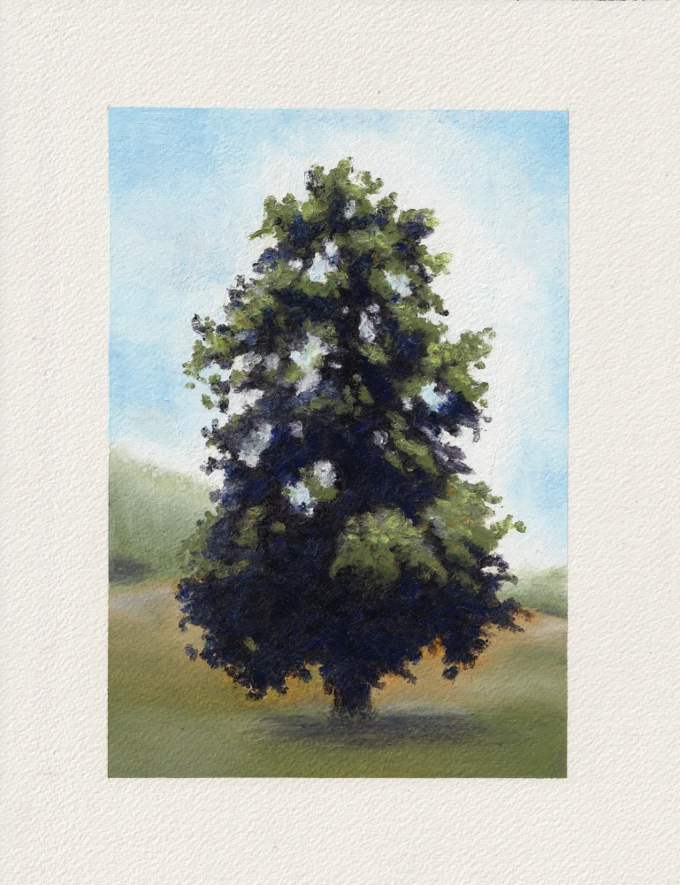 "L'arbre d'à côté" – Pastel à l'huile sur papier aquarelle Arches, 18 x 26 cm.