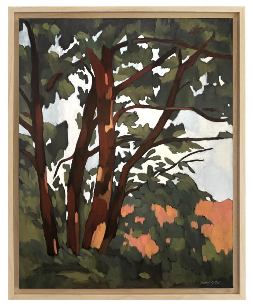 Forêt 2 encadré
